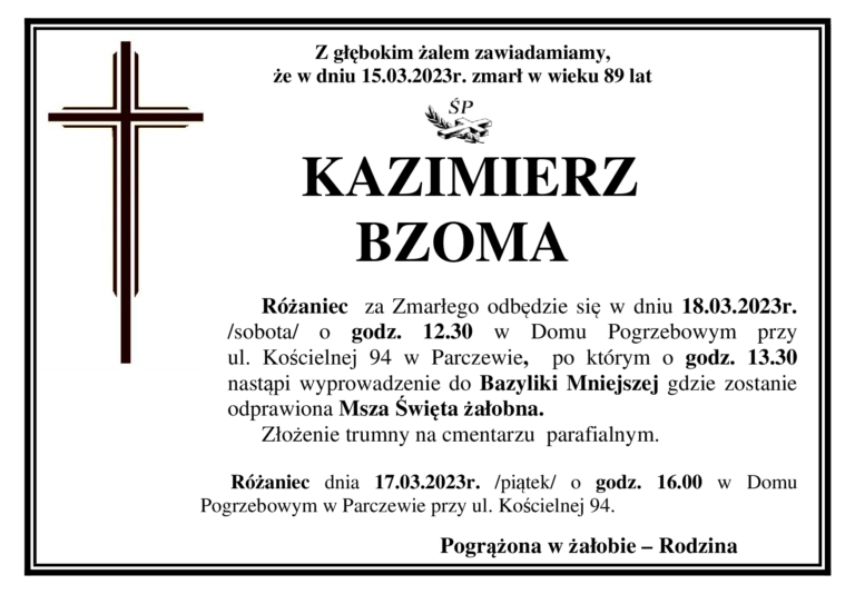 BZOMA 768x543